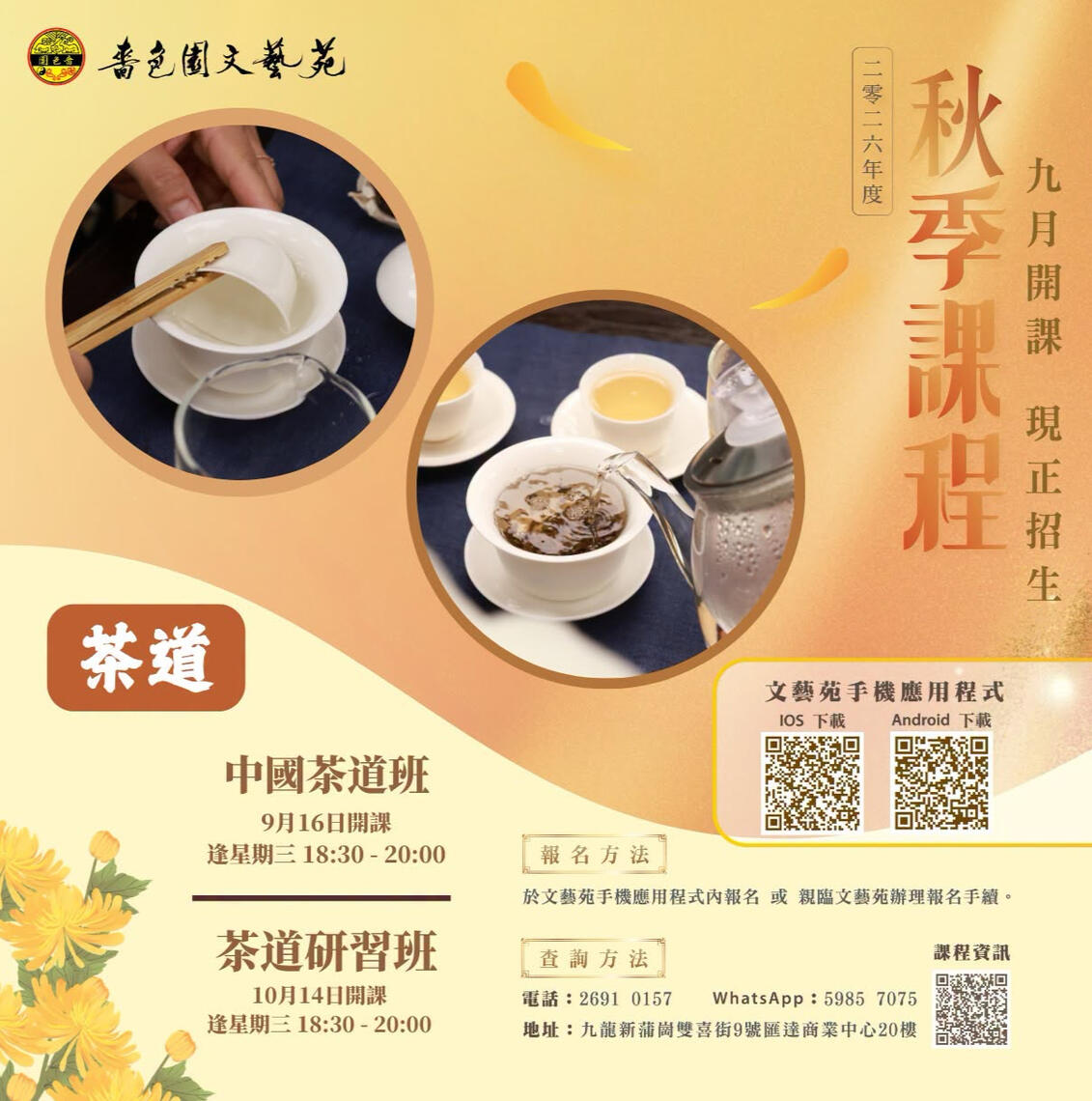 Go – Beginner & Intermediate Classes